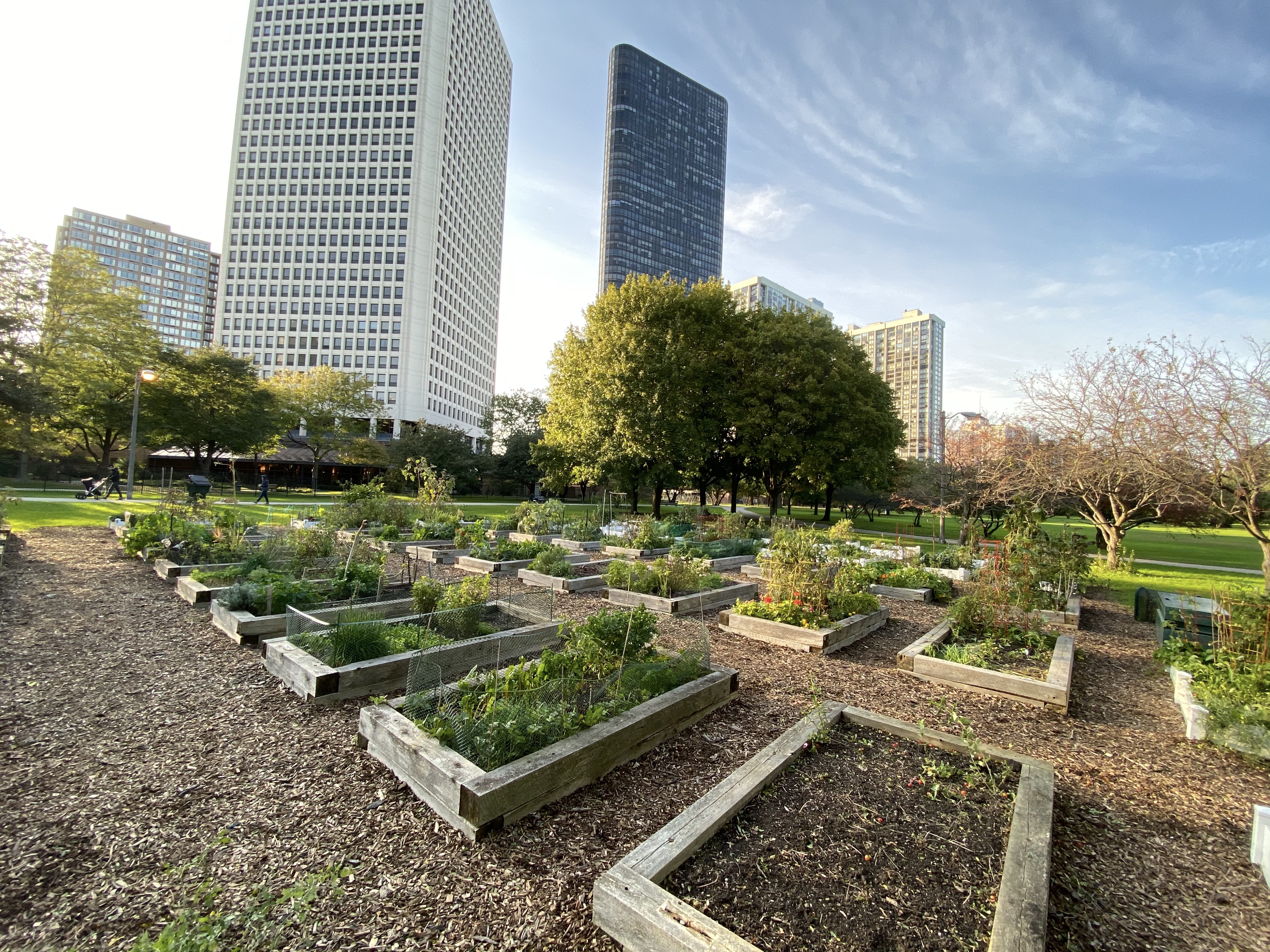 Compost bins in the garden